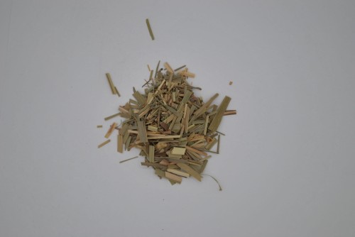 trawa cytr.JPG